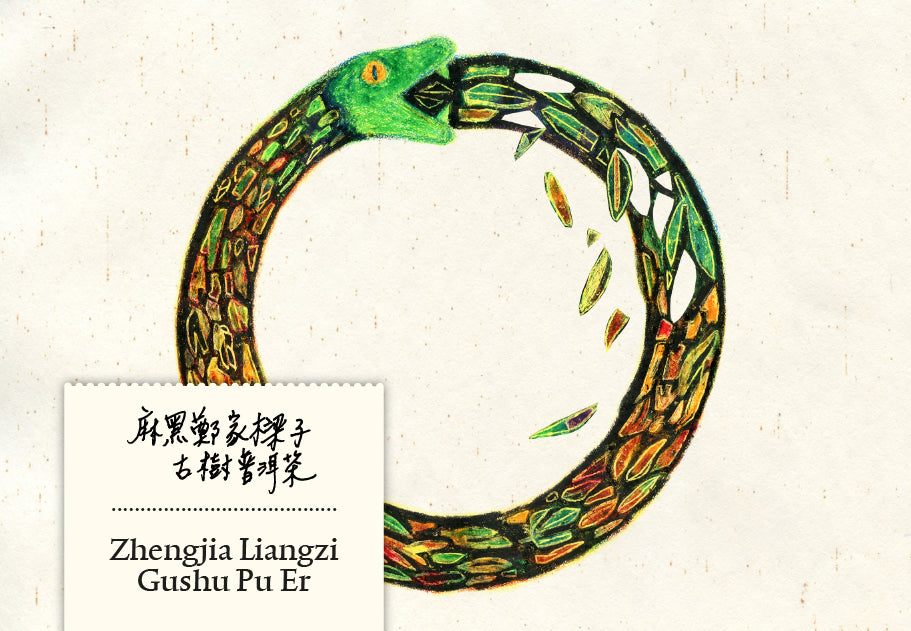 ZhengjiaLiangzi Mahei Gushu Pu Er 200g | Schlangenjahr Edition